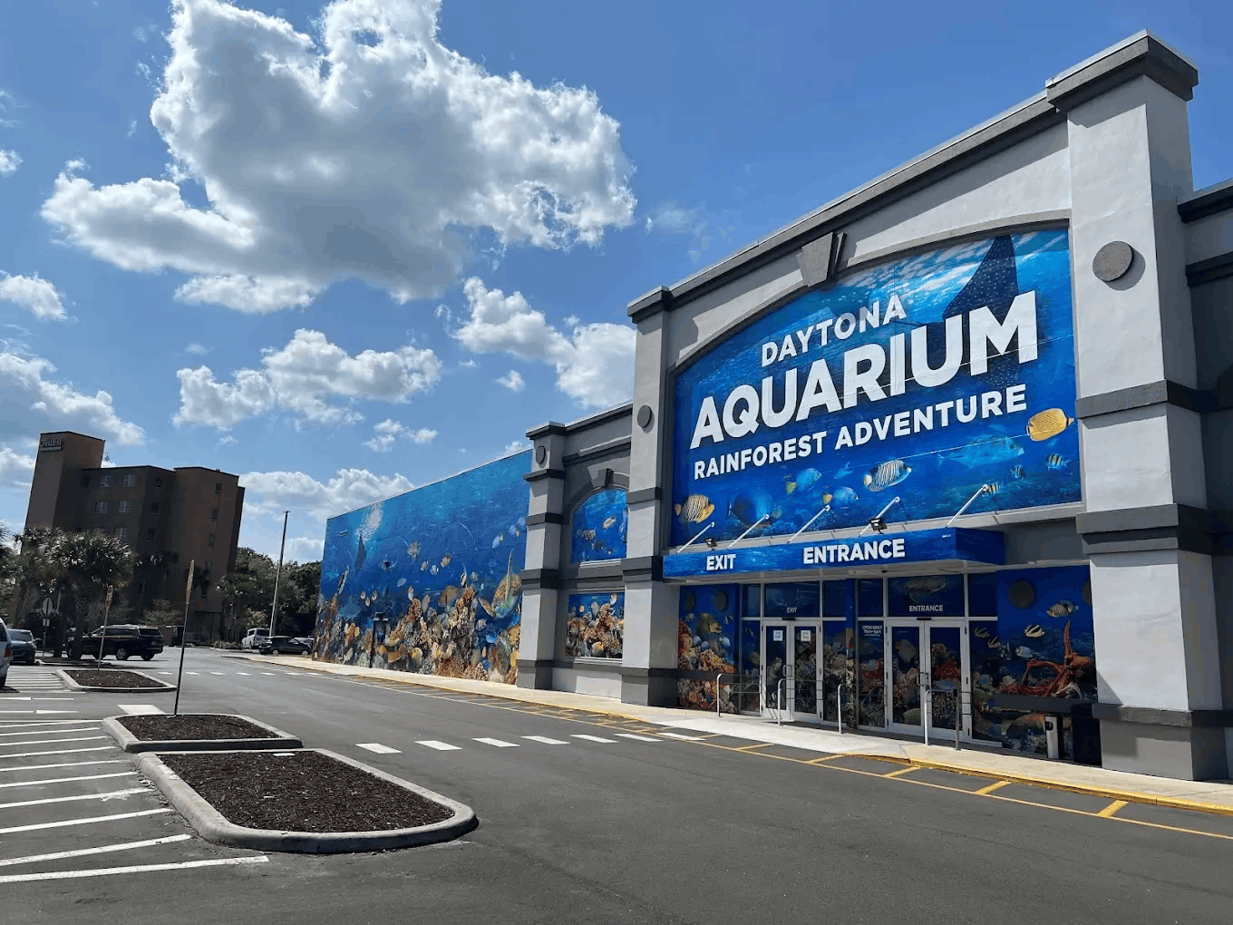 Thing To Do Attractions & Activities